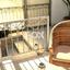 2 bedroom ground floor apartment for rent trachoni lemesou limassol 7794938 thumbnail 15683653