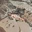 3679 SQM Land for sale in Pentakomo, Limassol thumbnail 9695544