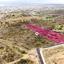 land for sale panthea limassol 1318938 thumbnail 14602476