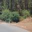 land for sale pelendri limassol 1081938 thumbnail 17227981
