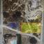 plot for sale germasogeia limassol 8716938 thumbnail 16443490