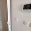 studio apartment building for rent petrou kai pavlou limassol 1683938 thumbnail 4398608