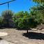 2 bedroom bungalow for sale choulou paphos 8772048 thumbnail 16592212