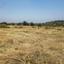 land for sale pachna limassol 848048 thumbnail 16700886