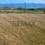 land for sale pano arodes paphos 8086048 thumbnail 16274959