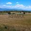 land for sale pano arodes paphos 8086048 thumbnail 16274961