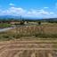 land for sale pano arodes paphos 8086048 thumbnail 16274962