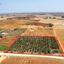 land for sale avgorou famagusta 1752148 thumbnail 15881232