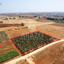 land for sale avgorou famagusta 1752148 thumbnail 15881234