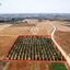 land for sale avgorou famagusta 1752148 thumbnail 15881236