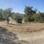 land for sale doros limassol 1936148 thumbnail 9238773