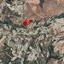 land for sale psathi paphos 8532148 thumbnail 16305976