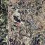land for sale stroumbi paphos 7533148 thumbnail 15597386