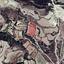 land for sale stroumbi paphos 7533148 thumbnail 15597387