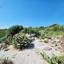 4 bedroom bungalow for sale kathikas paphos 8866248 thumbnail 17186808