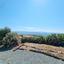 4 bedroom bungalow for sale kathikas paphos 8866248 thumbnail 17186818