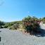 4 bedroom bungalow for sale kathikas paphos 8866248 thumbnail 17186820