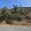 7000 SQM Plot for sale in Apsiou, Limassol thumbnail 12711521