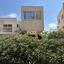 3 bedroom detached house for sale mouttalos paphos paphos 8913348 thumbnail 17422435