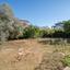 4 bedroom detached house for sale mesa gitonia limassol 7992348 thumbnail 12134340