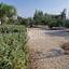 5 bedroom detached house for sale pano deftera nicosia 1643348 thumbnail 14381636