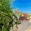6 bedroom bungalow for sale armou paphos 8959348 thumbnail 17780746