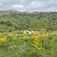 6 bedroom bungalow for sale armou paphos 8959348 thumbnail 17780749