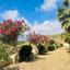 6 bedroom bungalow for sale armou paphos 8959348 thumbnail 17780751