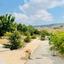 6 bedroom bungalow for sale armou paphos 8959348 thumbnail 17780752