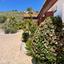 6 bedroom bungalow for sale armou paphos 8959348 thumbnail 17780753