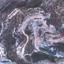 land for sale agios tychonas limassol 7751348 thumbnail 10291167