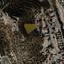 plot for sale palodeia limassol 1735348 thumbnail 14371497