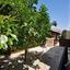 3 bedroom detached house for sale coral bay paphos 7733448 thumbnail 13696974