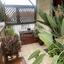 3 bedroom detached house for sale psematismenos larnaca 8185448 thumbnail 13608370