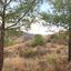 land for sale pano pyrgos nicosia 8073448 thumbnail 13054414