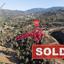 land sold agios epifanios soleas nicosia 1510448 thumbnail 3689690