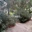 4 bedroom detached house for sale makedonitissa nicosia 1786548 thumbnail 9257655