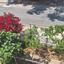 4 bedroom semi detached house for rent larnaca municipality larnaca 8203548 thumbnail 13684510