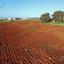 land for sale agia thekla famagusta 8244548 thumbnail 13833768