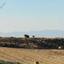 land for sale pera orinis nicosia 944548 thumbnail 15603401