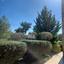 3 bedroom detached house for sale souni zanakia limassol 1023648 thumbnail 1060120
