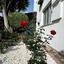 4 bedroom detached house for rent peyia paphos 8574648 thumbnail 16054556
