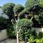 4 bedroom detached house for rent peyia paphos 8574648 thumbnail 16054558