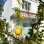 4 bedroom detached house for rent peyia paphos 8574648 thumbnail 16054560