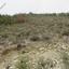 4181 SQM Land for sale in Arminou, Paphos thumbnail 15600282