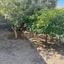3 bedroom detached house for sale agios dometios nicosia 1224748 thumbnail 5179889