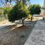 3 bedroom detached house for sale agios dometios nicosia 1224748 thumbnail 5179895