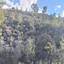 land for sale korakou nicosia 1210748 thumbnail 17286850