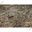land for sale lythrodontas nicosia 1578748 thumbnail 14152560