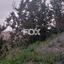 plot for sale kamares tala paphos 1335748 thumbnail 14828349